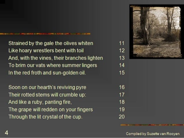 essay on the poem autumn by roy campbell
